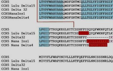 Научные итоги 2018 года