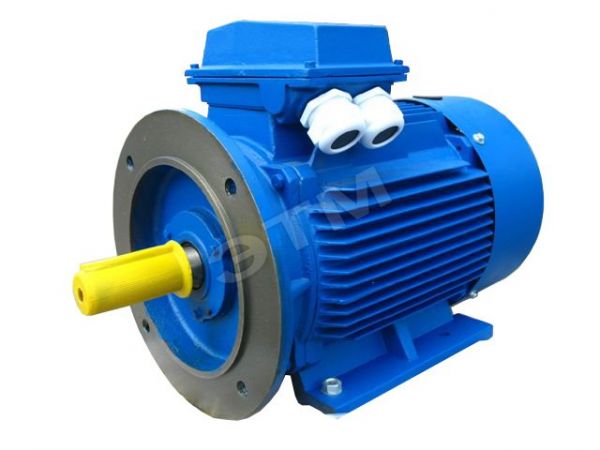 Электродвигатель АД180М6 18,5 кВт 1000 об/мин IМ2001