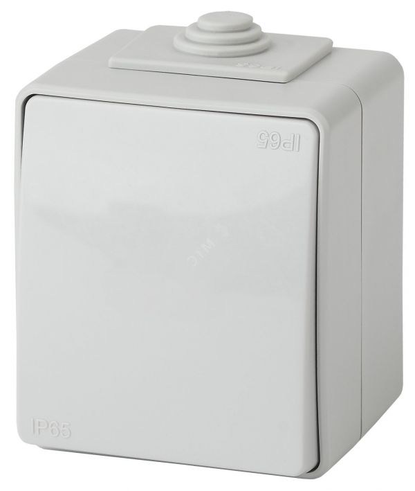 Выключатель одноклавишный наружный (открытой установки) IP65 серый 10А 250В винтовые зажимы ЭРА Эксперт 11-1601-03