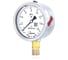 Манометр виброустойчивый Физтех ДМ8008-ВУф 0-16 МПа кт.1,0 d.100 IP54 M20x1,5 РШ, Силикон 4687205455000