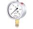 Манометр виброустойчивый Физтех ДМ8008-ВУф 0-100 кПа кт.1,0 d.100 IP54 M20x1,5 РШ, Силикон 4687205455116