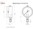 Манометр виброустойчивый Физтех ДМ8008-ВУф 0-16 МПа кт.1,0 d.100 IP54 M20x1,5 РШ, Силикон 4687205455000