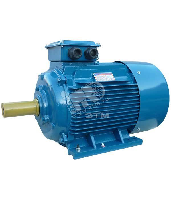 Электродвигатель 5АИ 200 L8 22/750 IM 1001