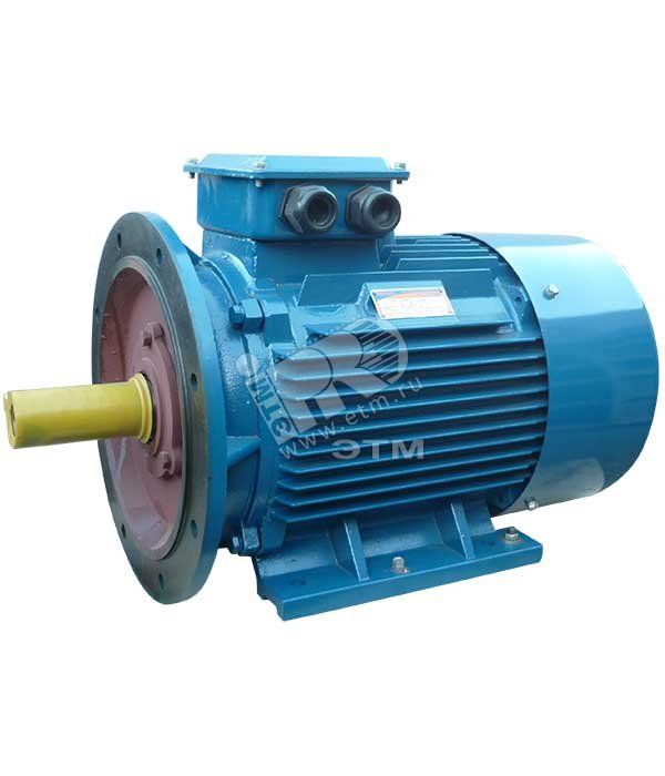Электродвигатель 5АИ 200 М4 37/1500 IM 2001