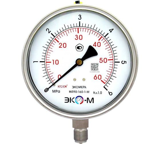 Манометр виброустойчивый Физтех ДМ8008-ВУф исп 2 0-6 МПа кт.1,0 d.160 IP54 M20x1,5 РШ, Силикон 4687205455215