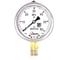 Манометр виброустойчивый Физтех ДМ8008-ВУф 0-60 МПа кт.1,0 d.100 IP54 G1/2 РШ, Глицерин 4687205640420