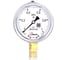 Манометр виброустойчивый Физтех ДМ8008-ВУф 0-1 МПа кт.1,0 d.100 IP54 G1/2 РШ, Силикон 4687205640048