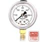 Манометр виброустойчивый Физтех ДМ8008-ВУф исп 1 0-600 кПа кт.1,5 d.63 IP54 M12x1,5 РШ, Глицерин 4687205450036