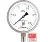 Манометр коррозионностойкий Физтех ДМ8008-ВУф Кс исп 2 0-2,5 МПа кт.1,0 d.160 IP65 M20_1,5 РШ SG Б/запол 4687205724663