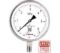 Манометр коррозионностойкий Физтех ДМ8008-ВУф Кс исп 2 0-6 МПа кт.1,0 d.160 IP65 M20_1,5 РШ SG, Б/запол 4687205724847