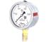 Манометр виброустойчивый Физтех ДМ8008-ВУф 0-1 МПа, кт1.0, d100, IP54 G,1/2 РШ, глицерин 4687205640031