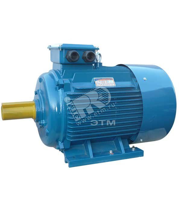 Электродвигатель 5АИ 225 М2 55/3000 IM 1001