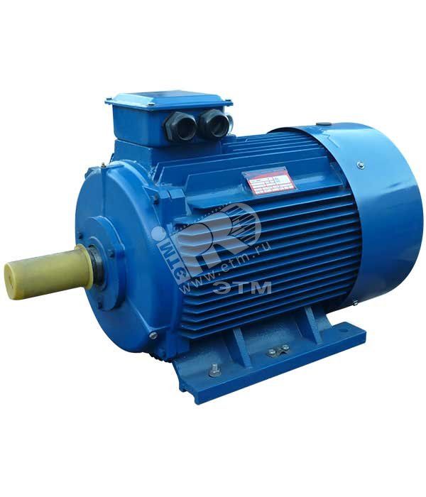 Электродвигатель 5АИ 355 MLA6 250/1000 IM 1001