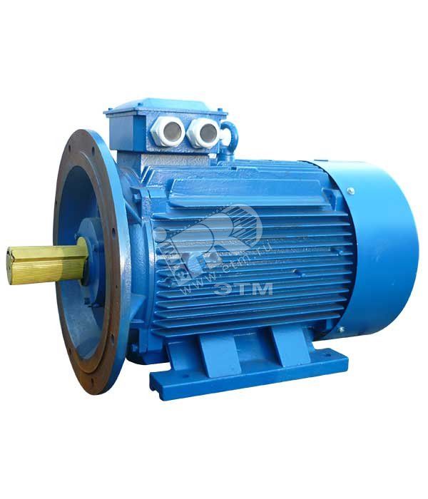 Электродвигатель 5АИ 280 S4 110/1500 IM 2001