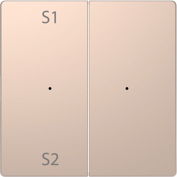 MERTEN D-Life PlusLink КЛАВИША 2-ная с S1/S2, пусто, ШАМПАНЬ, SD