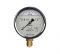 Манометр виброустойчивый Физтех ДМ8008-ВУф 0-1,6 МПа, кт1.0, d100, IP54 G,1/2 РШ, силикон 4687205640079