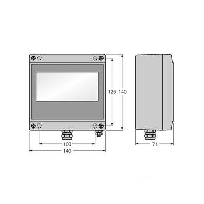 FD-49-T317/EX Дисплей Fieldbus, 3 канала