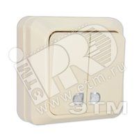 Олимп Выключатель двухклавишный наружный 10А с индикацией бежевый