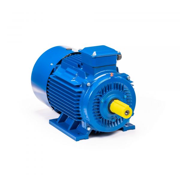 Электродвигатель 5АИ 280 М2 132/3000 IM 1001