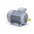 Электродвигатель общепромышленный PR 250 M2-SDN-Б1-S12-IE3 55/3000 IM B3
