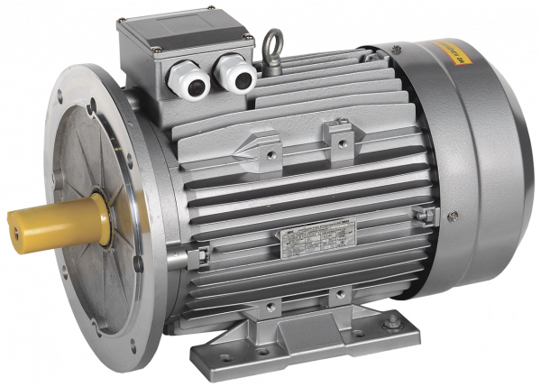 Электродвигатель трехфазный АИС 180L8 660В 11кВт 750об/мин 2081 DRIVE