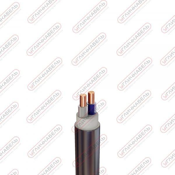 Кабель силовой ПвПГнг(А) -HF 2x10 ок(N)-0,66