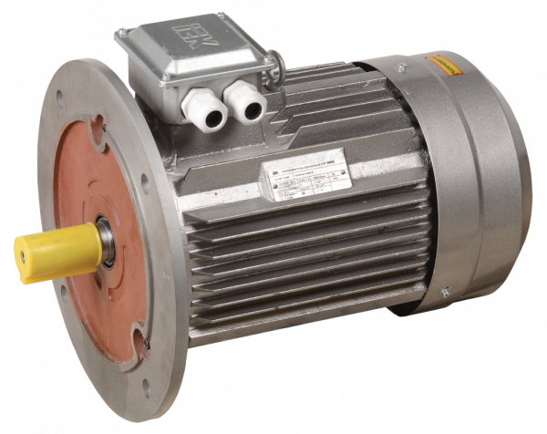 Электродвигатель трехфазный АИР 132S6 380В 5,5кВт 1000об/мин 3081 DRIVE