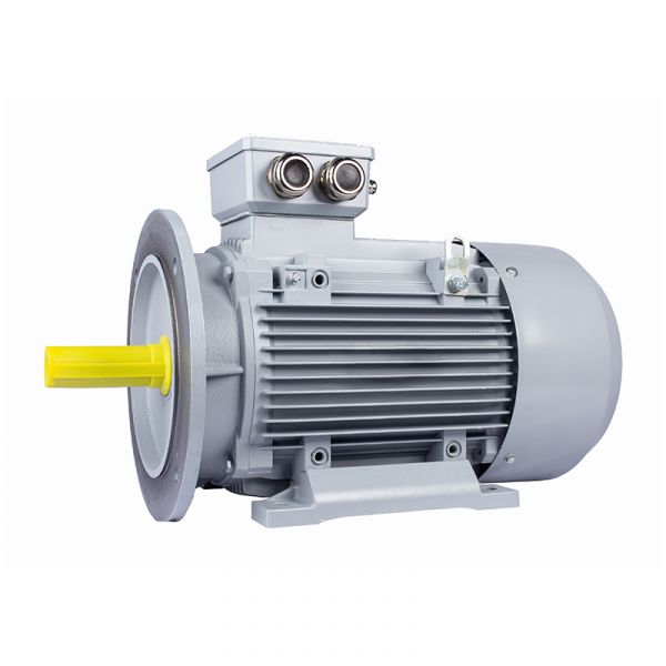 Электродвигатель общепромышленный PR 80 В2-SDN-Б1-S12-IE2 1.1/3000 IM B35