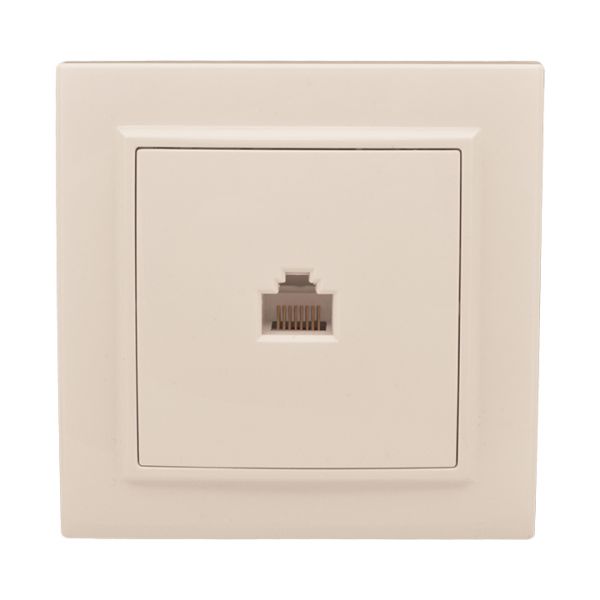 Розетка RJ-45 одноместная СП бежевый Минск