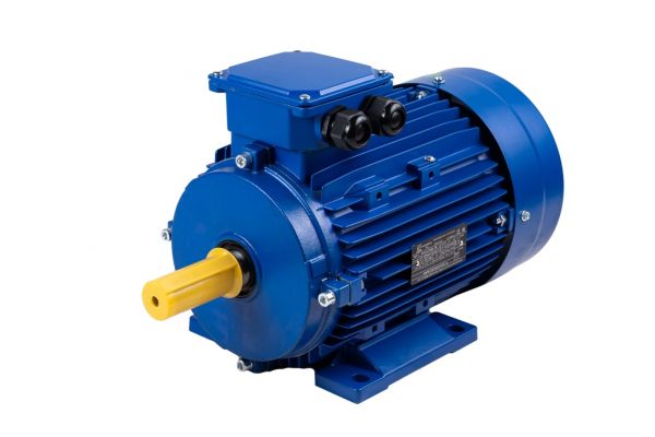 Электродвигатель трехфазный АИР 71В6 0,55 кВт 1000 об/мин IM1081 380В IP55 У2