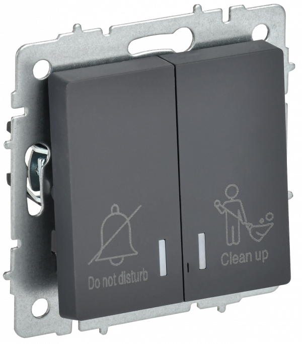 BRITE Выключатель 2-клавишный с индикацией для отелей 10А ВС10-2-9-БрГ графит IEK