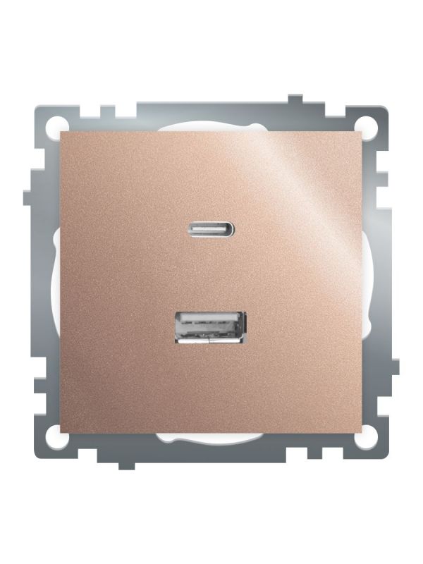 Розетка 2-местная USB+TypeC (механизм) 250В 3А max 20W серия Катрин шампань STEKKER
