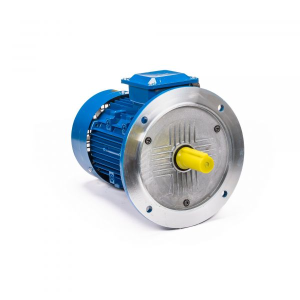 Электродвигатель 5АИ 100 L6 2.2/1000 IM 3081