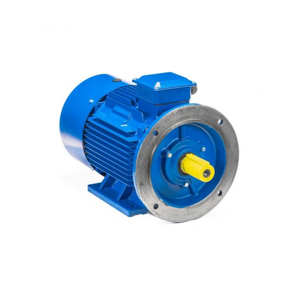 Электродвигатель 5АИ 100 L4 ED 4/1500 IM 2081