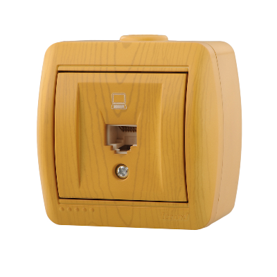 Ната Розетка компьютерная ольха