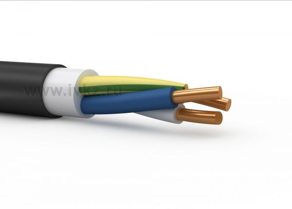 Кабель силовой ВВГнг(А)-LS 2х4 ок (N)-1 ТРТС