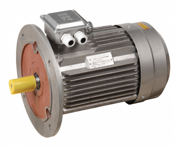 Электродвигатель трехфазный АИР 132M8 380В 5,5кВт 750об/мин 3081 DRIVE