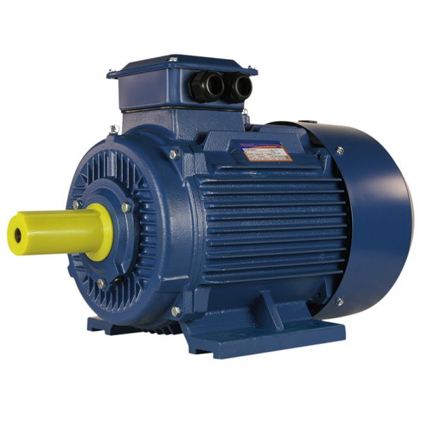 Электродвигатель 5АИ 160 S4 15/1500 IM 1001