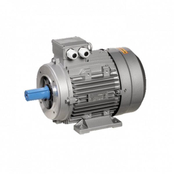 Электродвигатель трехфазный АИС 132MB6 660В 5,5кВт 1000об/мин 2181