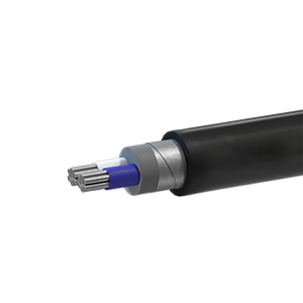 Кабель силовой АВБШв 2х16мк(N)-0,66