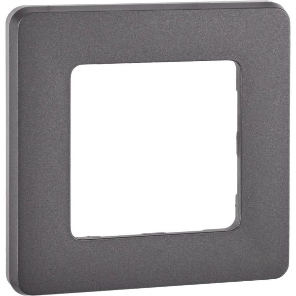 Рамка 1-местная дымчатый INSPIRIA