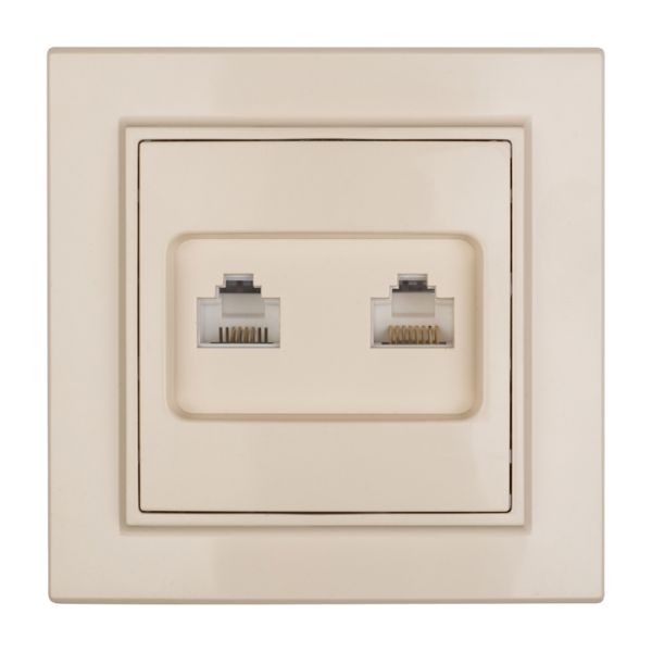 Розетка RJ-45+Phone СП бежевый Минск