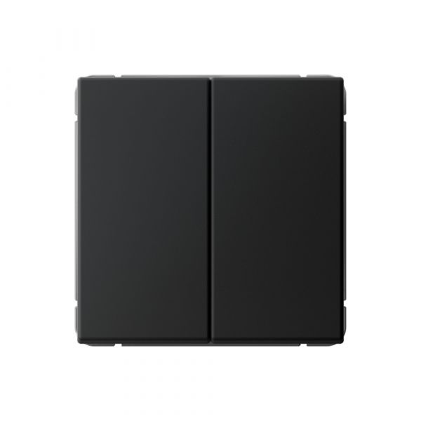 ARTGALLERY 2-клавишный ПЕРЕКЛЮЧАТЕЛЬ, 10АХ, механизм, быстрозажимные клеммы, КАРБОН