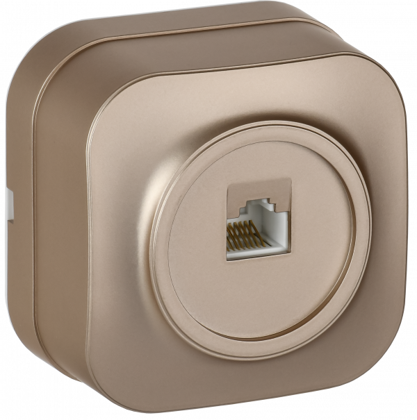 GLORY Розетка для открытой установки компьютерная RJ45 кат.5E РК10-ХШм шампань матовый IEK