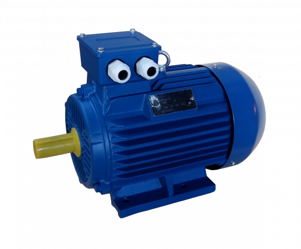 Электродвигатель трехфазный асинхронный АИР 100L8У1 1,5 кВт 750 об/мин 220/380В IM1081 B3 IP55