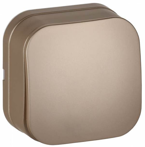 GLORY Выключатель 1-клавишный для открытой установки 10А ВС20-1-0-ХШм шампань матовый IEK