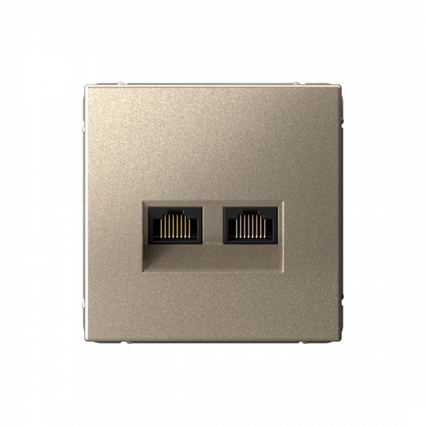 ARTGALLERY РОЗЕТКА двойная компьютерная RJ45+RJ45, кат. 5е, механизм, ШАМПАНЬ
