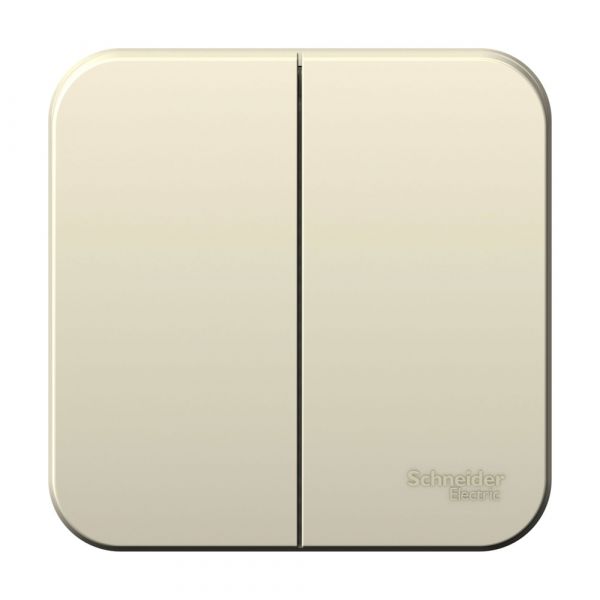 Выключатель наружный двухклавишный BLANCA (cх.5), 10A, 250B, молочный