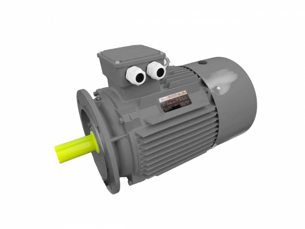 Электродвигатель трехфазный асинхронный OMTG-RT 100L2 5,5 кВт 3000 об/мин 220/380В IM3081 IP55 S1 IC411 IE1 материал корпуса алюминий