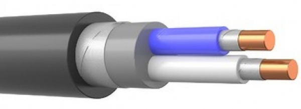 Кабель силовой ППГнг(А)-FRHF 2х6 ок (N) - 1 ТРТС